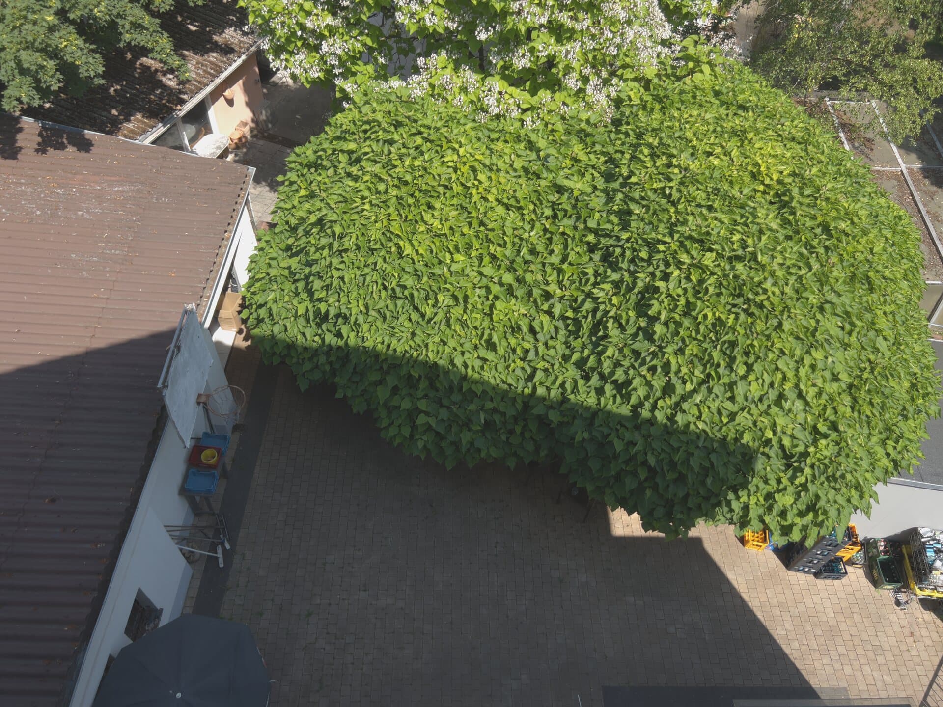 Garagenplatz im Hinterhof